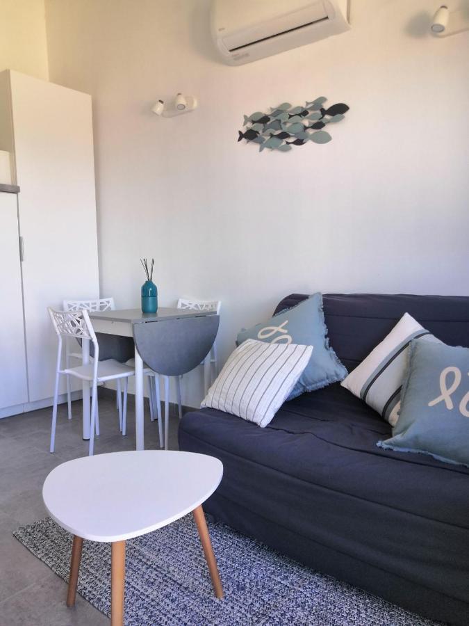 Apartment Tres Joli T2 Climatise & Grande Terrasse A 1km De La