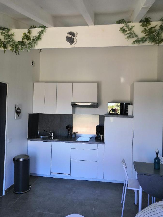 Tres Joli T2 Climatise & Grande Terrasse A 1km De La Apartment Porticcio (Corsica)